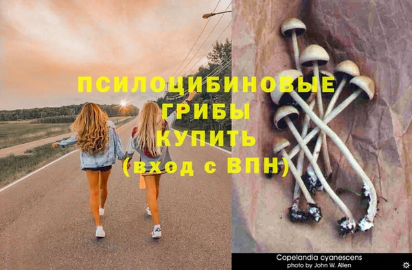 ALPHA PVP Кинешма