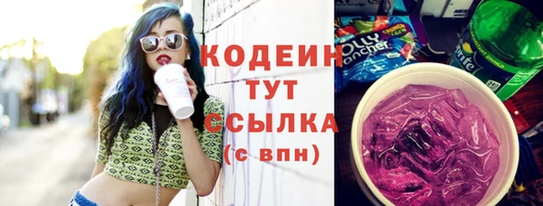 прущий лед Кодинск