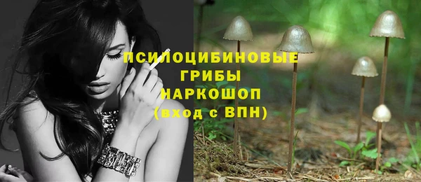 apvp Костерёво