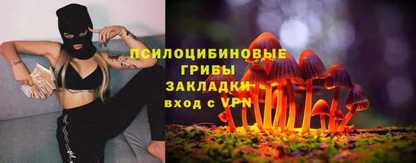 прущие крисы Киреевск