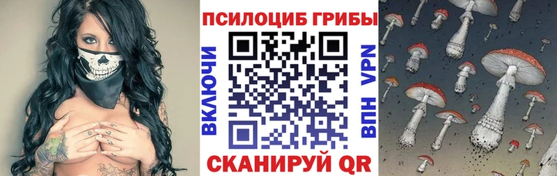 Псилоцибиновые грибы Cubensis  Купить где  Вязники 